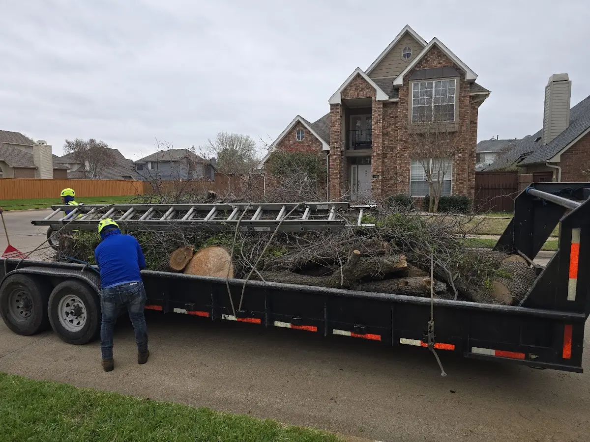 Expert Tree Fertilization with proper safety equipment in Sellersburg